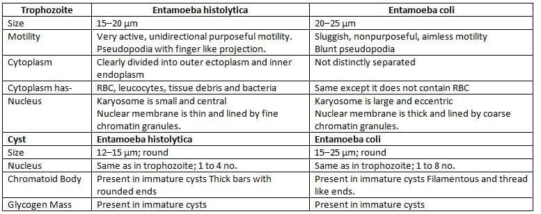 Intestinal Amebae, Free-Living Ameba and Balantidium Coli Chapter Notes | Microbiology - NEET PG