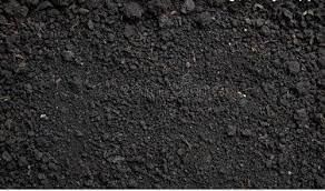 Soils of India - 1 Class 4 Worksheet SST