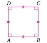 Fundamental Concepts of Geometry Chapter Notes | Mathematics Class 6 ICSE