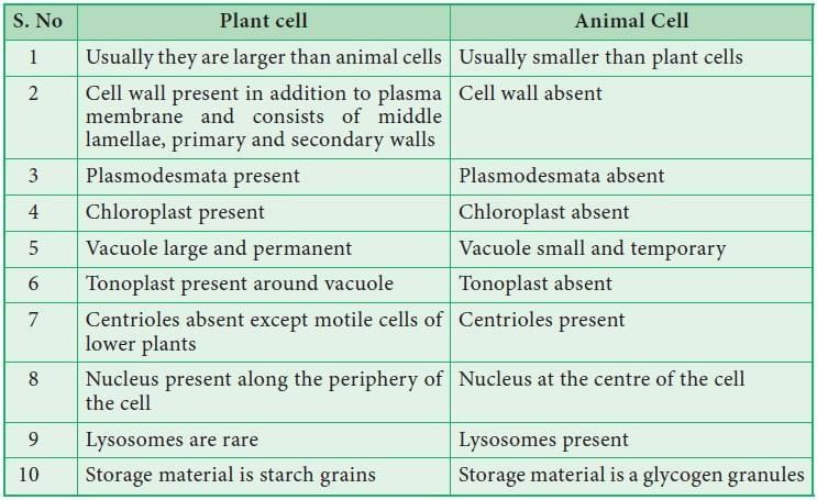 Revision Notes: Cell The Unit Of Life | Biology Class 9 ICSE