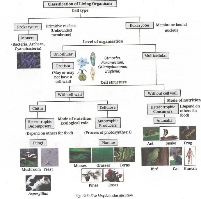 Activity 12.3: Let us study