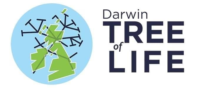 Darwin Tree of Life (DToL) Project
