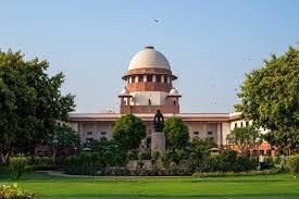 Major Legal Judgements for Law of Torts 2024-2025 | Legal Reasoning for CLAT