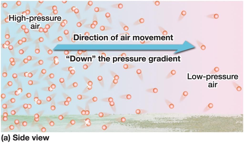 Pressure, Winds, Storms, and Cyclones Chapter Notes | Science Curiosity Class 8 -  New NCERT