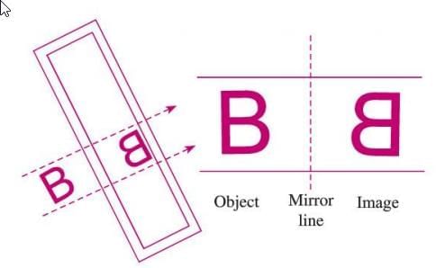 Symmetry Chapter Notes | Mathematics Class 6 ICSE