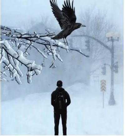 Class 10 English First Flight Chapter 1 Previous Year Questions - Dust of Snow