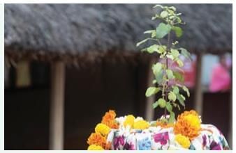 Let`s Explore: Natural Resources and Their Use | Social Science Class 8 - New NCERT