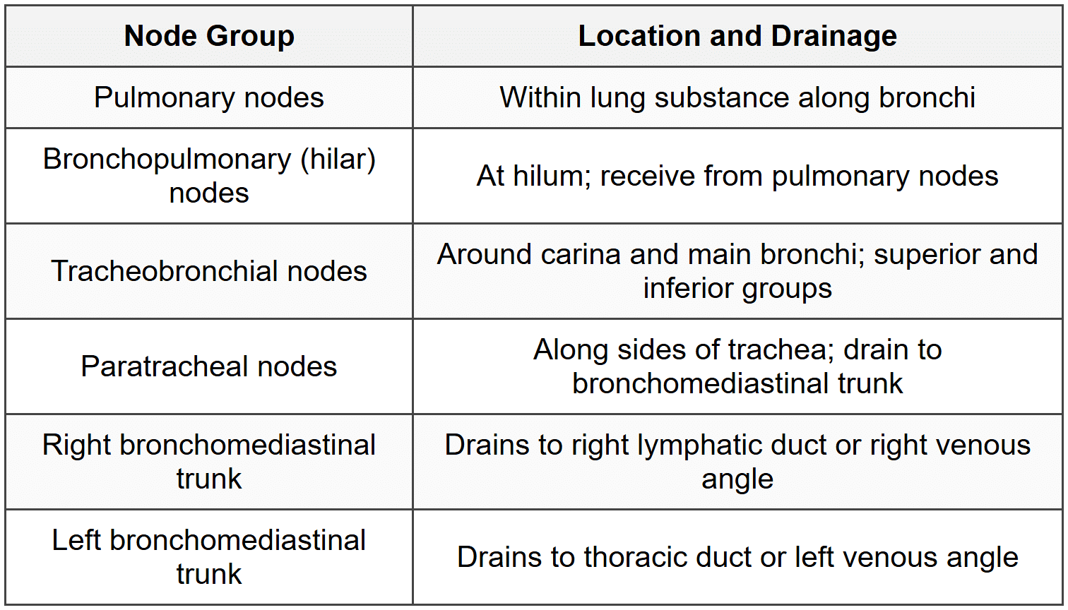 4.4 Lymphatic Drainage