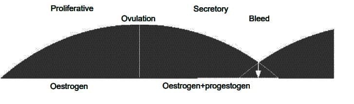 Premature Ovarian Failure