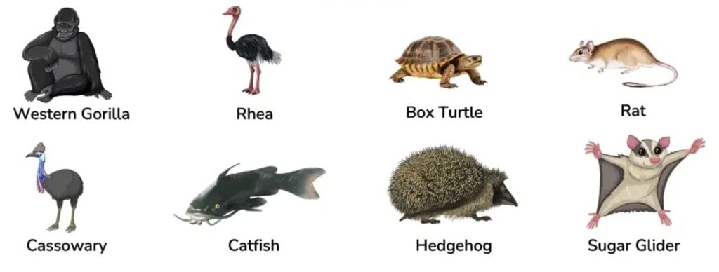Animals- Food and Shelter Class 1 Notes EVS