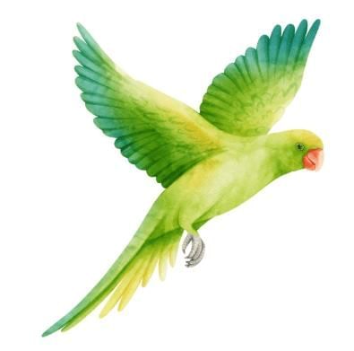 Animals Around Us - CBSE Worksheets- 1