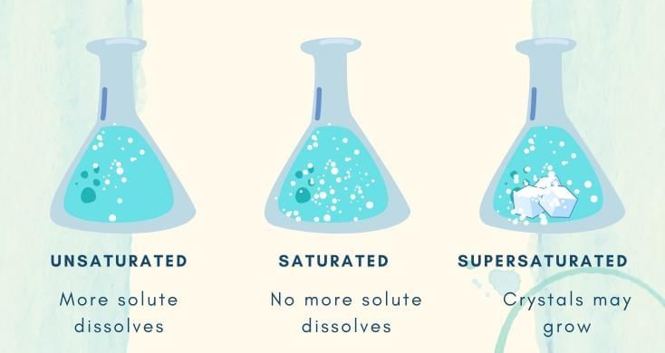 Very Short Answer Questions: The Amazing World of Solutes, Solvents, and Solutions | Science Curiosity Class 8 -  New NCERT