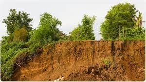 Soils of India - 1 Class 4 Worksheet SST