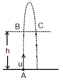 Kinematics, Chapter Notes, Class 11, Physics (IIT-JEE & AIPMT)
