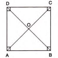 Rectilinear Figures Chapter Notes | Mathematics Class 9 ICSE