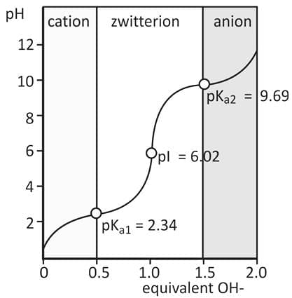 Titration Of Amino Acids