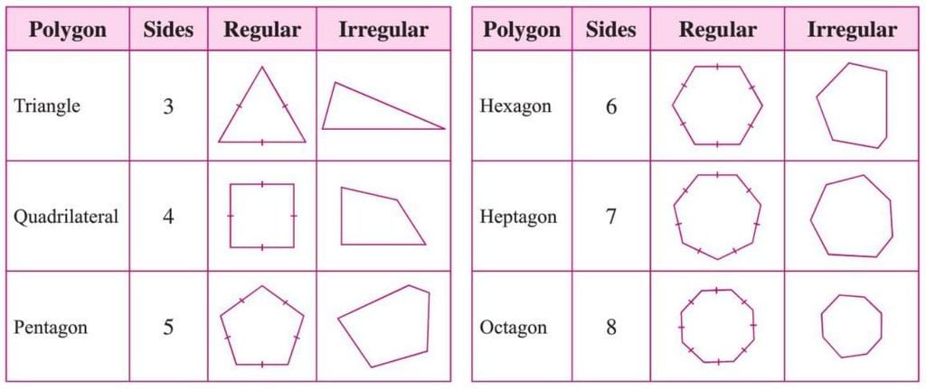 Triangles and Quadrilaterals Chapter Notes | Mathematics Class 6 ICSE