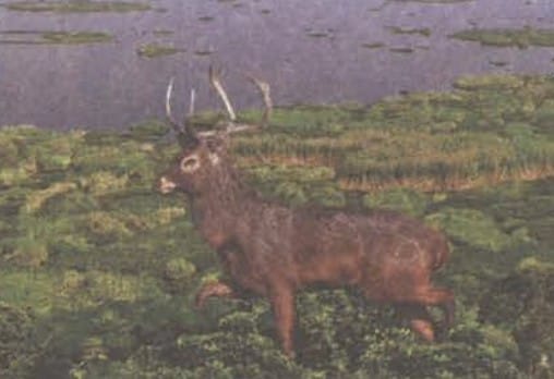 10. Biodiversity Under Threat