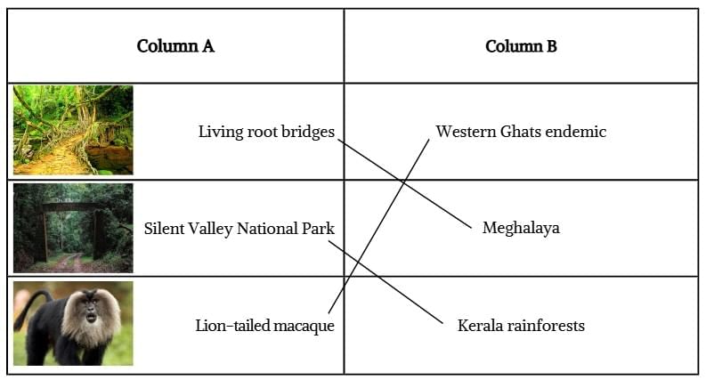 Unit Test (Solutions): Some Unique Places | Our Wondrous World  Class 5 - New NCERT