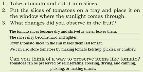 The Mystery of Food NCERT Solutions | Our Wondrous World  Class 5 - New NCERT