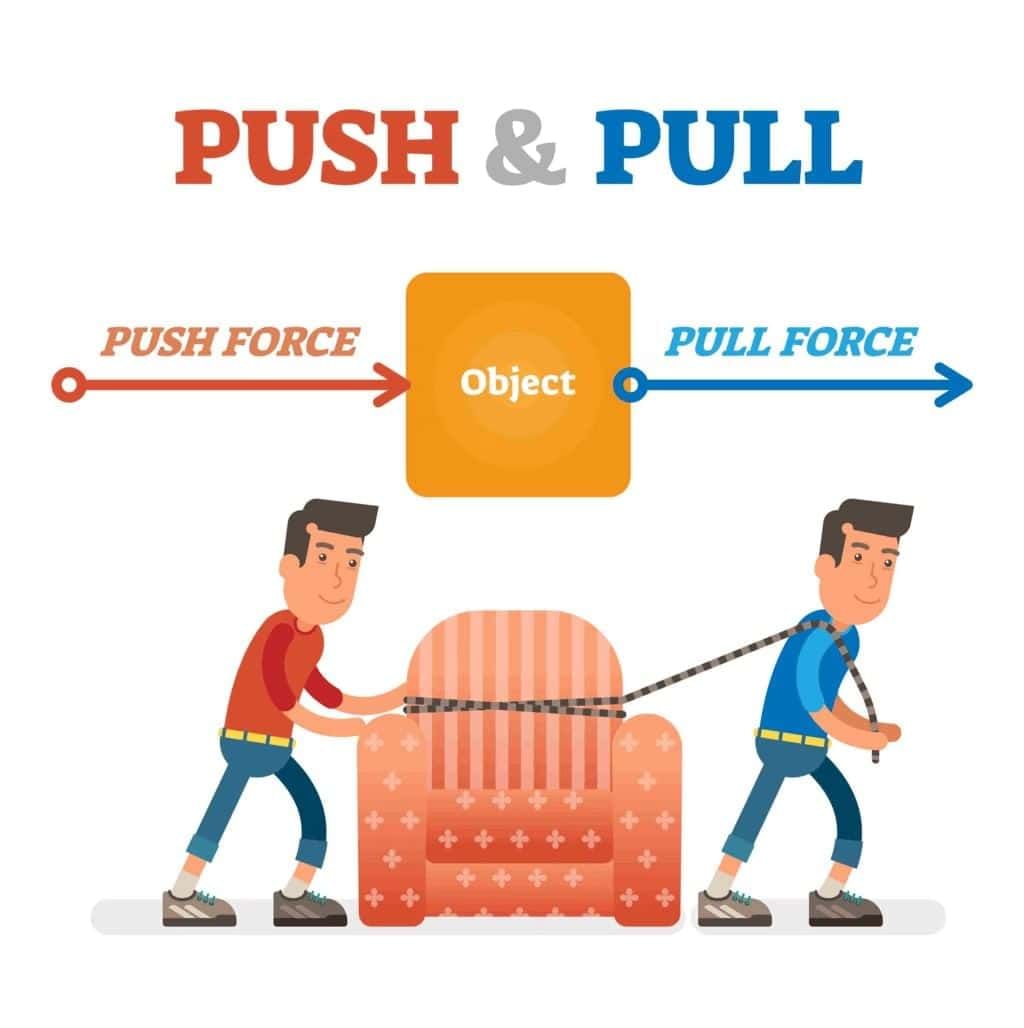 Force & Pressure Chapter Notes | Year 8 Physics (Cambridge) - Class 8