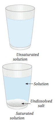The Amazing World of Solutes, Solvents, and Solutions Chapter Notes | Chapter Notes For Class 8