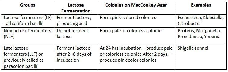 Enterobacteriaceae (E. Coli, Klebsiella, Proteus, Shigella, Salmonella, Yersinia) Chapter Notes | Microbiology - NEET PG