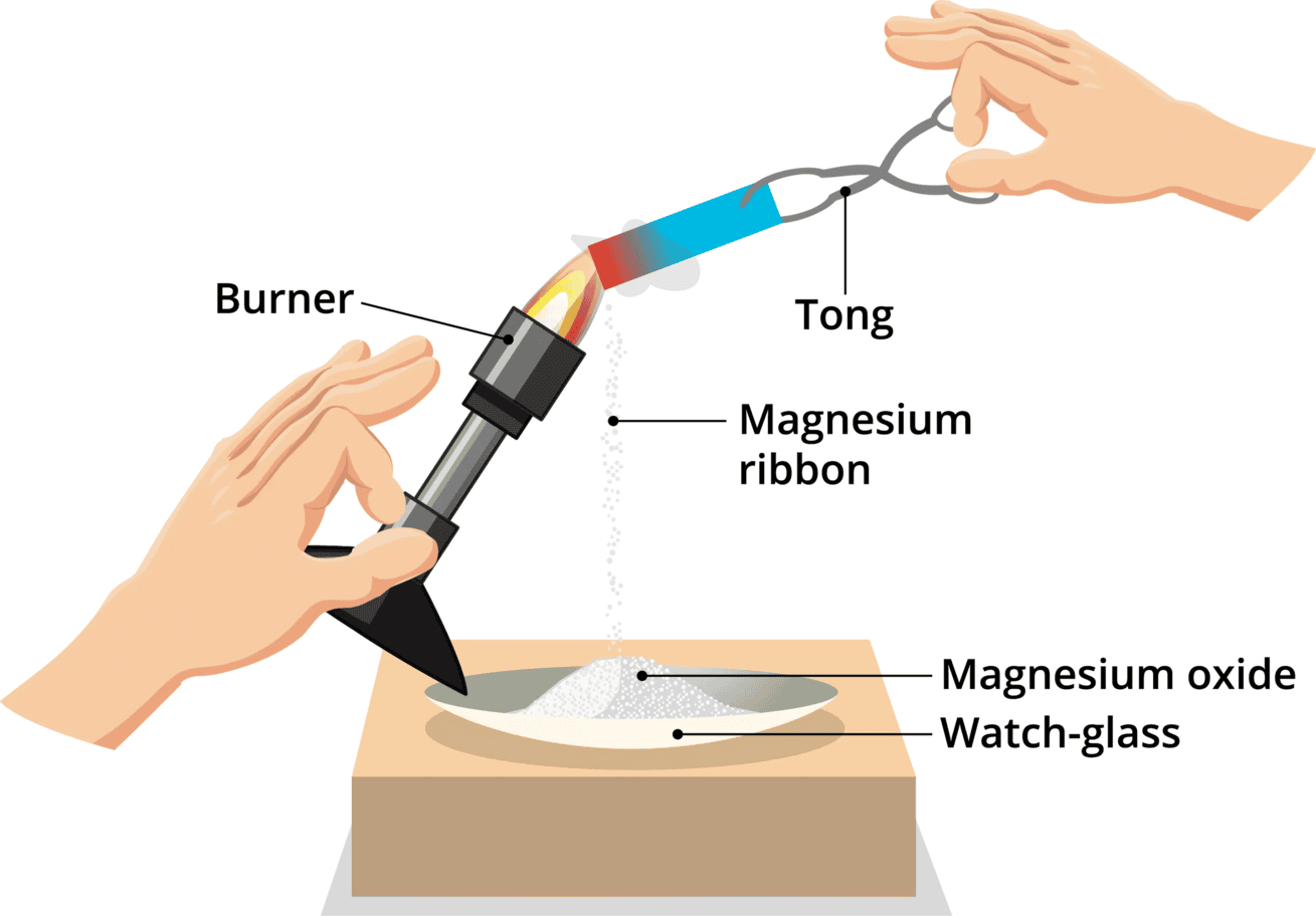 Short Answer Questions