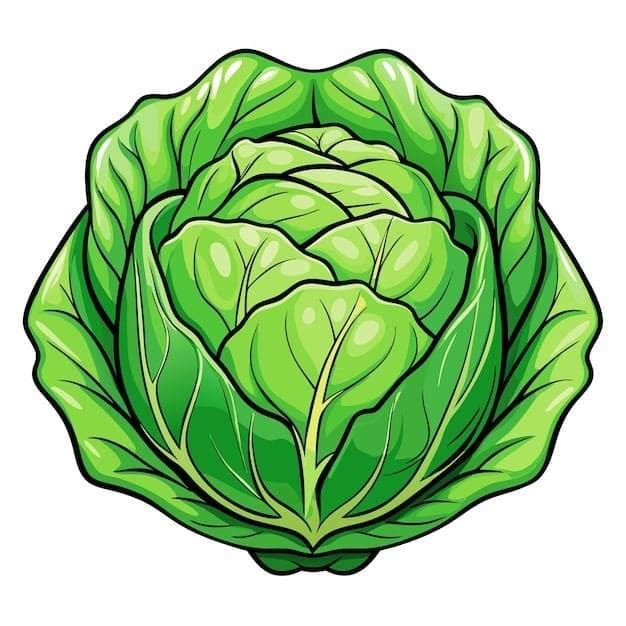 Cabbage vegetable cartoon style vector illustration on white background  high quality line art png | Premium AI-generated vector