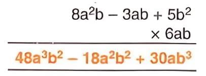 Algebraic Expressions Chapter Notes | Mathematics Class 8 ICSE