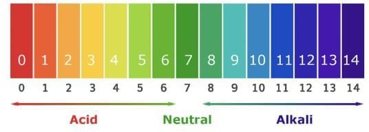 Cheat Sheet: Acids, Bases and Salts | Science Class 10