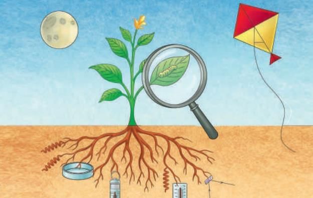 Exploring the Investigative World of Science Chapter Notes - Class 8