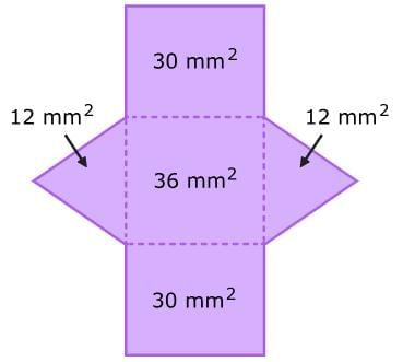 Volume and Surface Area Chapter Notes | Mathematics for Grade 6