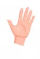 Hands