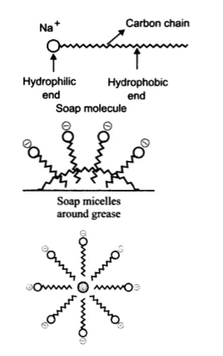 Class 10 Science Chapter 4 Previous Year Questions - Carbon and its compounds