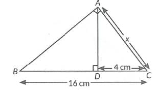 Previous Year Questions: Triangles | Mathematics (Maths) Class 10
