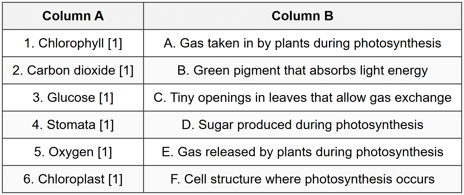 Section C: Match the Column