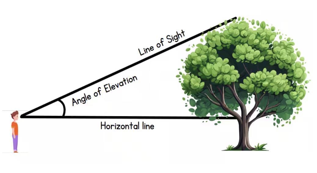 Some Applications of Trigonometry Class 10 Notes Maths Chapter 9