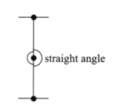 Unit Test (Solutions): Lines and Angles | Mathematics for Class 6