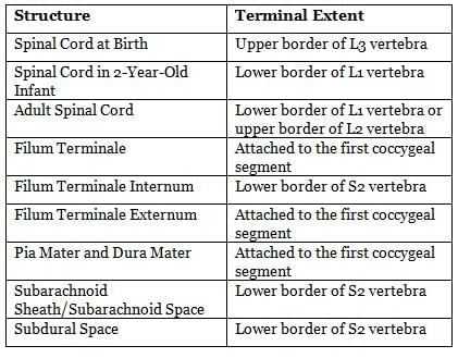 Neuroanatomy - 3 Chapter Notes | Anatomy - NEET PG