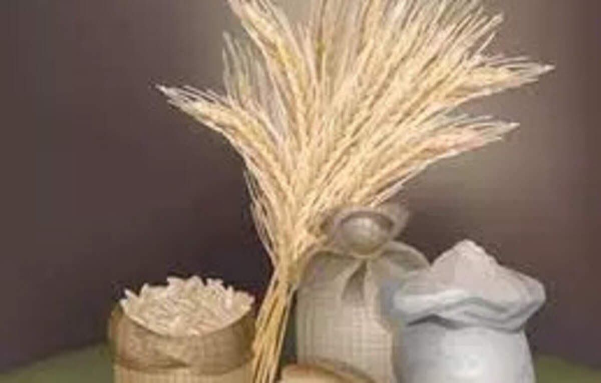 Wheat Export Policy Update