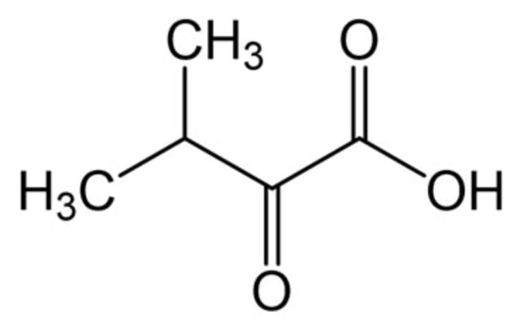(D) Substituents