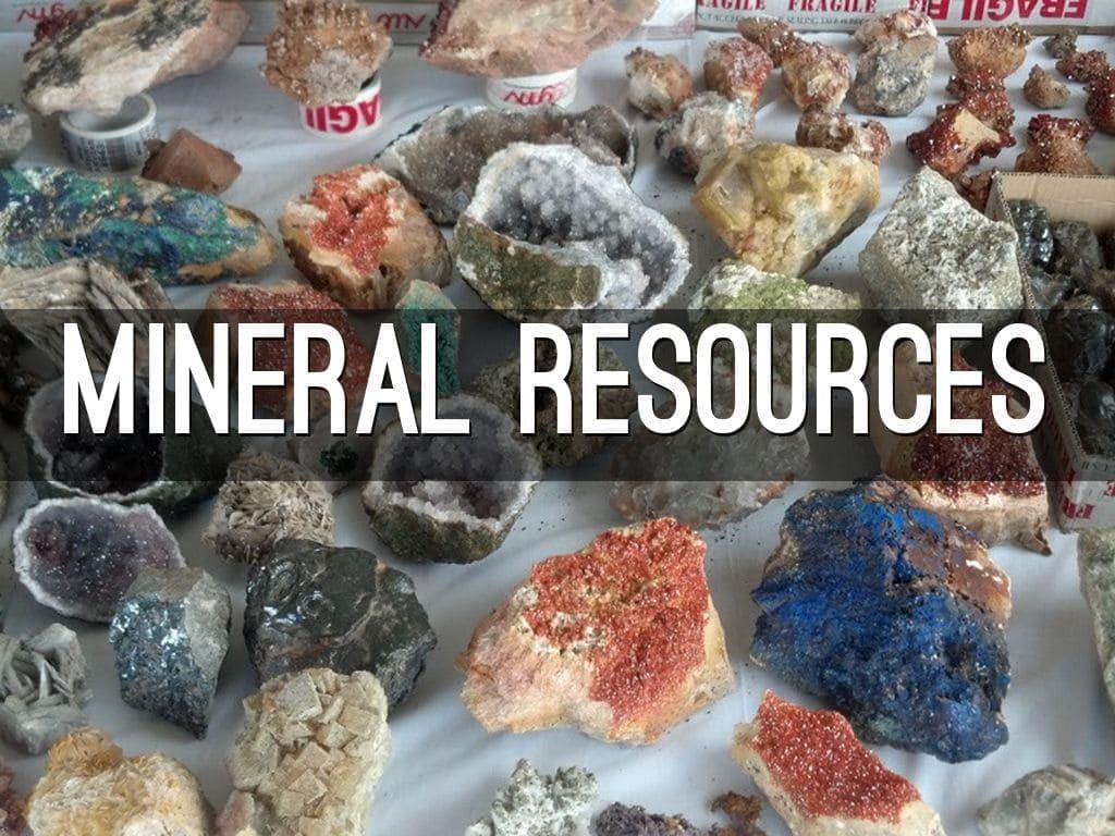 Class 10 Geography Chapter 5 Previous Year Questions - Minerals and Energy Resources