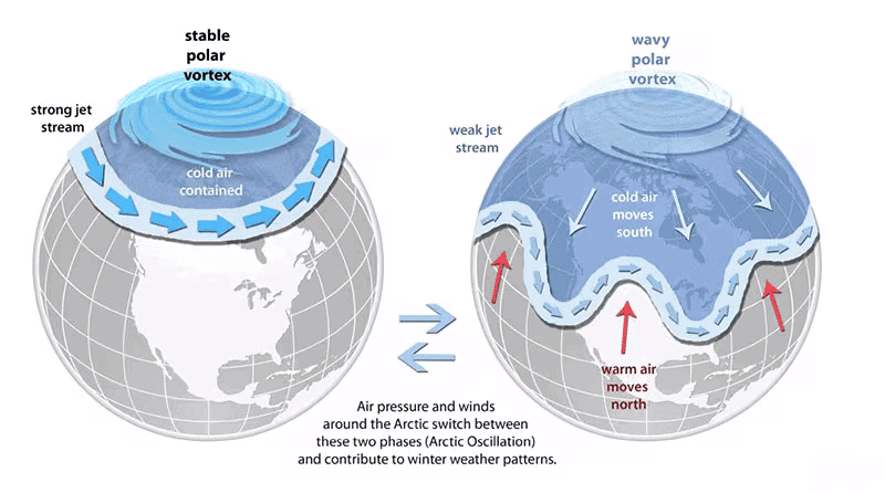 Global Warming and Polar Vortex