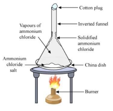 Change in States of Matter and Evaporation - Class 8