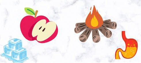 Chapter Notes: Physical & Chemical Changes