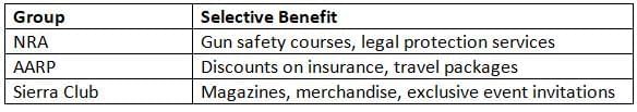 Interest Groups Influencing Policy Making Chapter Notes | AP U.S Government and Politics - Grade 12