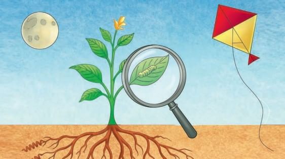 Worksheet Solutions: Exploring the Investigative World of Science | Worksheets with Solutions for Class 8