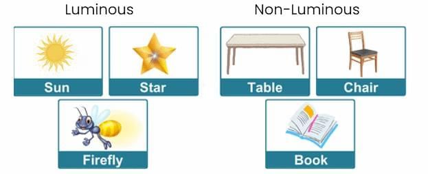 Light and the Formation of Shadows Chapter Notes | General Science Class 6 (Maharashtra Board)