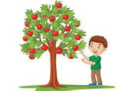 The Giving Tree Class 4 Worksheet English